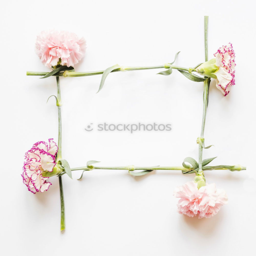 Similar – Image, Stock Photo Beauty and Cosmetic Skin Care Frames