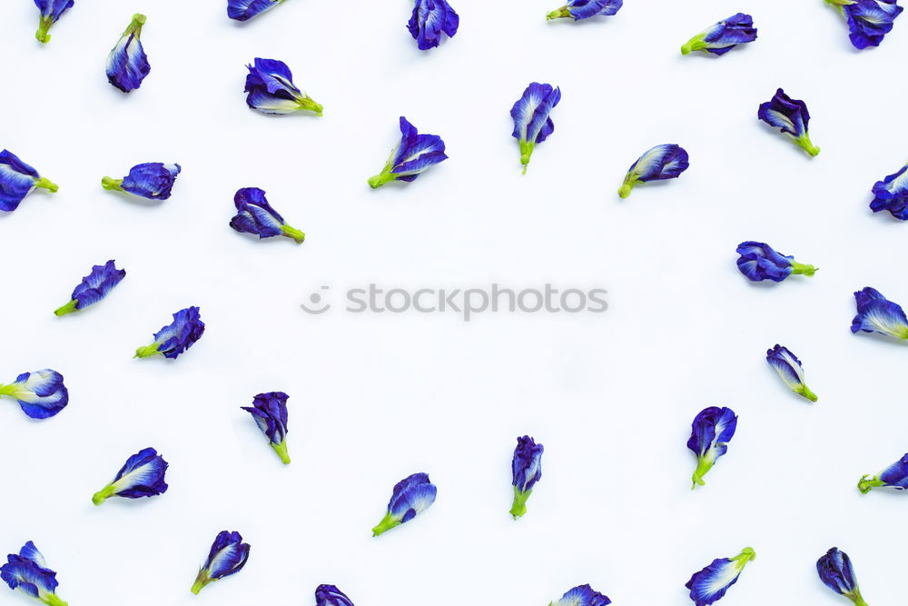 Similar – Image, Stock Photo fallen hearts l declaration of love