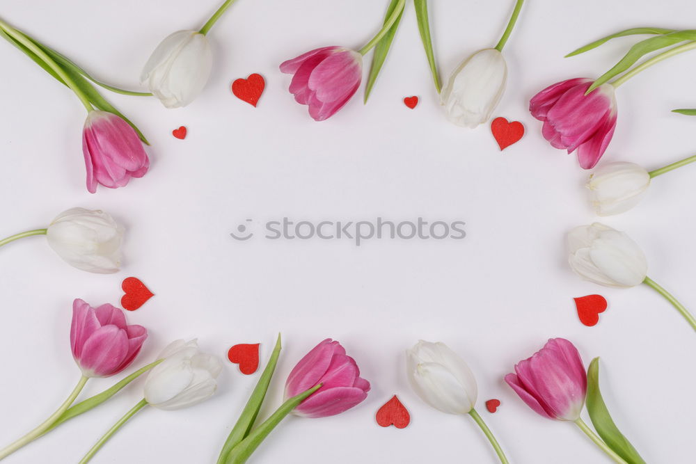Similar – Image, Stock Photo Beautiful flower frame with pink petals