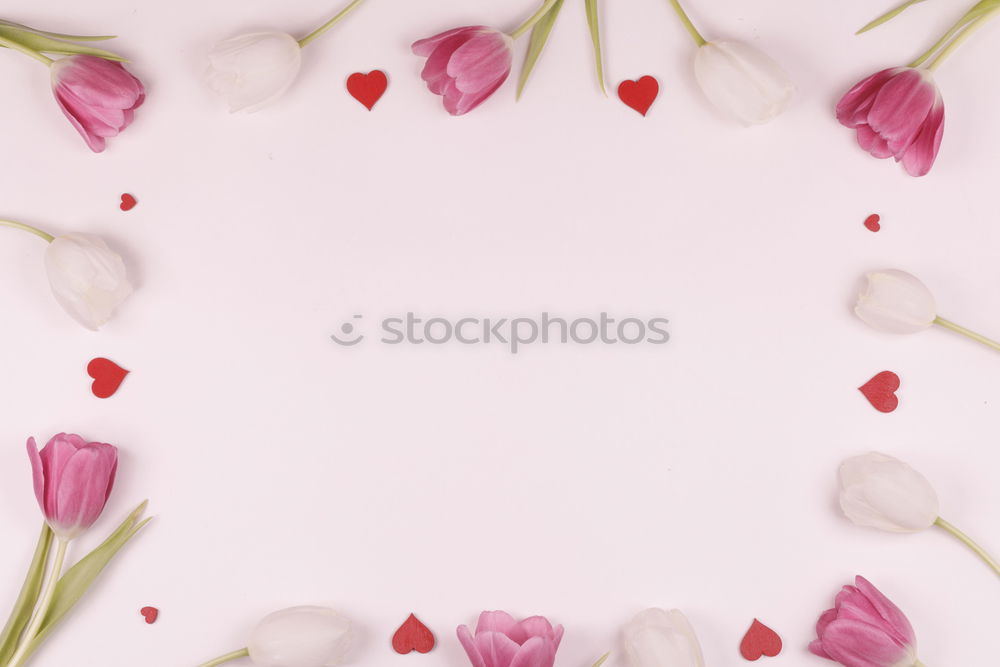 Similar – Image, Stock Photo Frame with colorful flowers