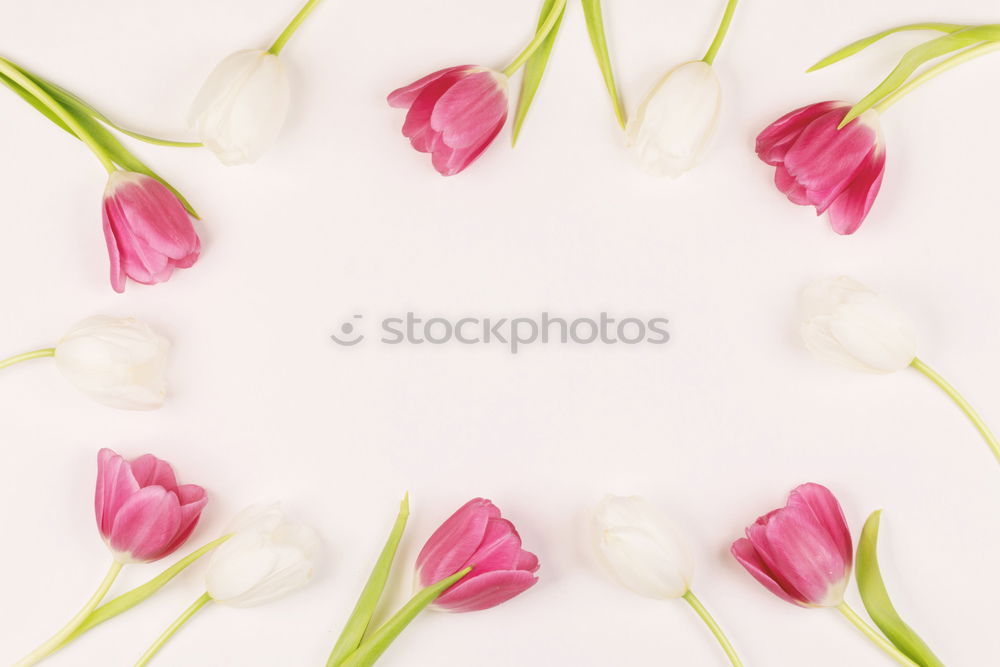 Similar – Image, Stock Photo Pretty pink petal frame