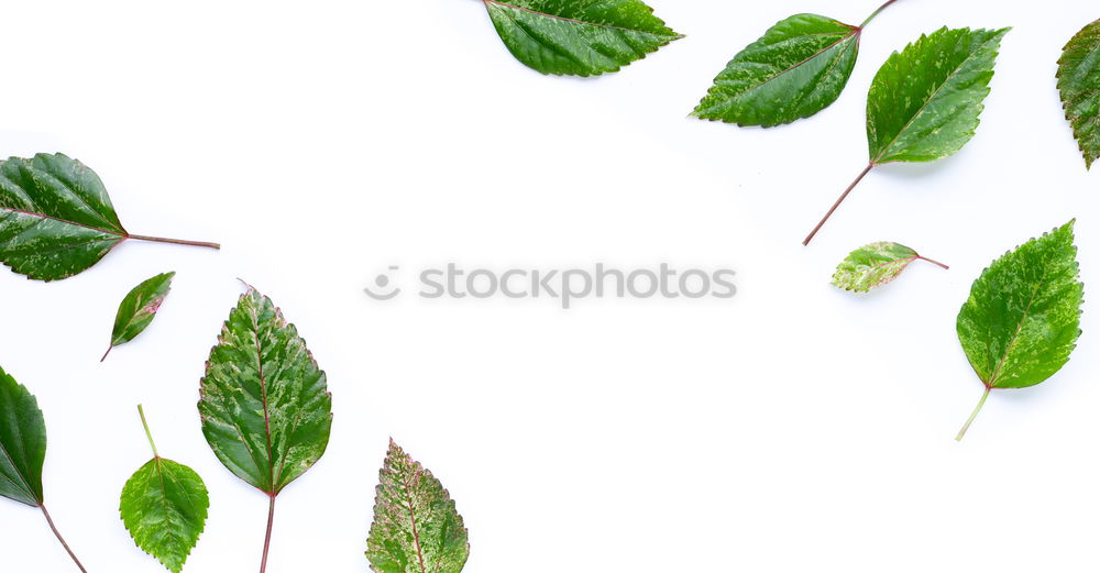 Similar – Image, Stock Photo nature Handicraft Art