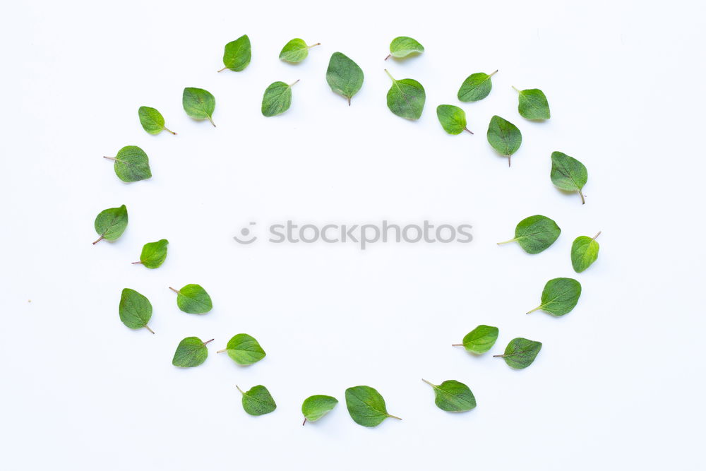 Similar – Image, Stock Photo A plate of peas Vegetable