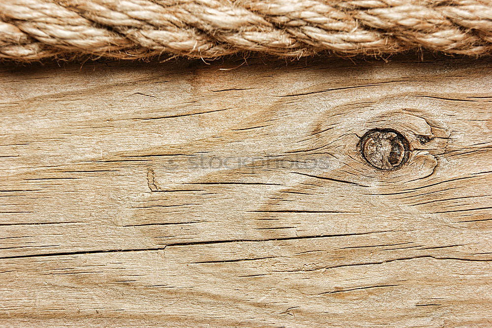 Similar – Image, Stock Photo wooden curl Wood shavings