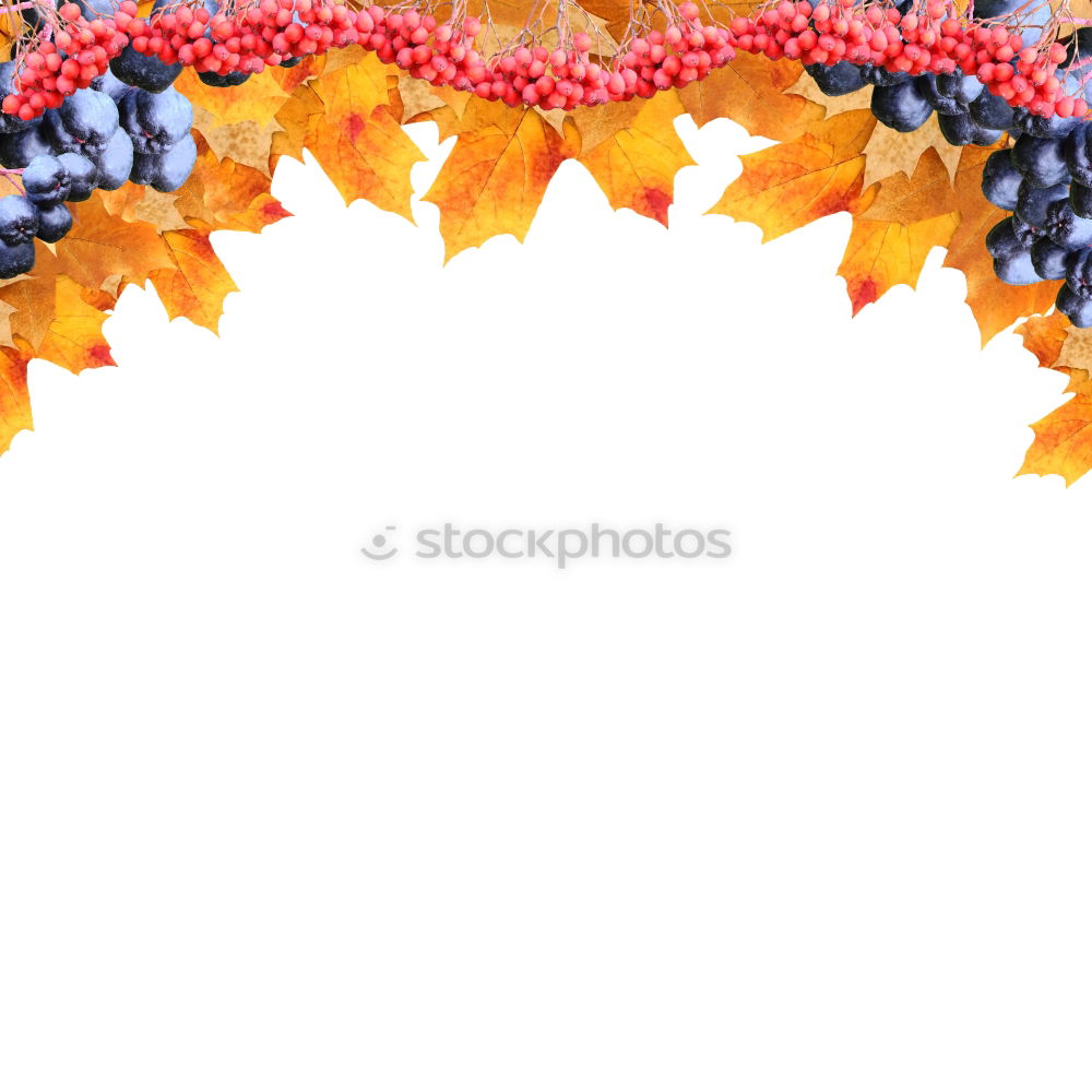 Similar – Image, Stock Photo AK# Autumn and its leaves IV