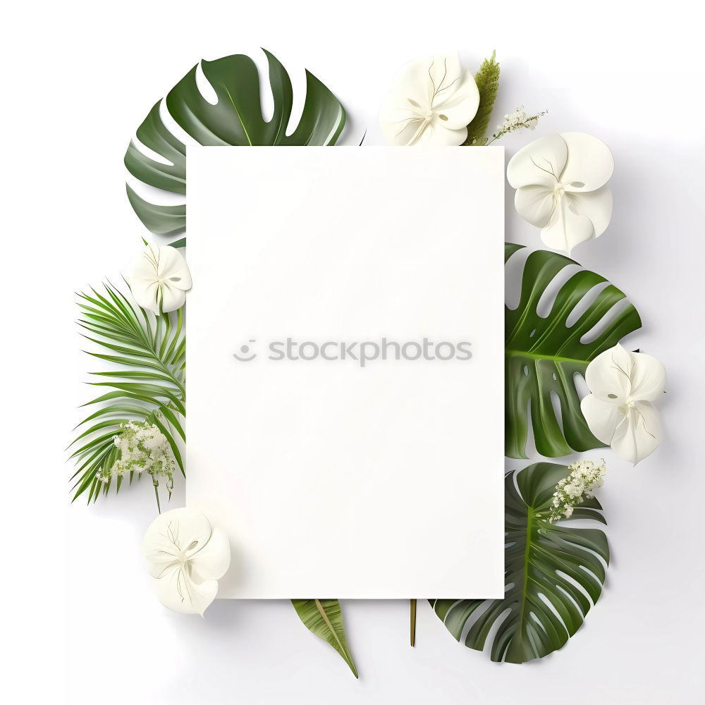 Similar – Image, Stock Photo Table with fresh green leaves and flowers