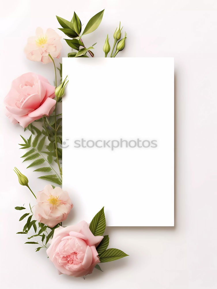 Similar – Image, Stock Photo Tulips on blue background with empty leaf