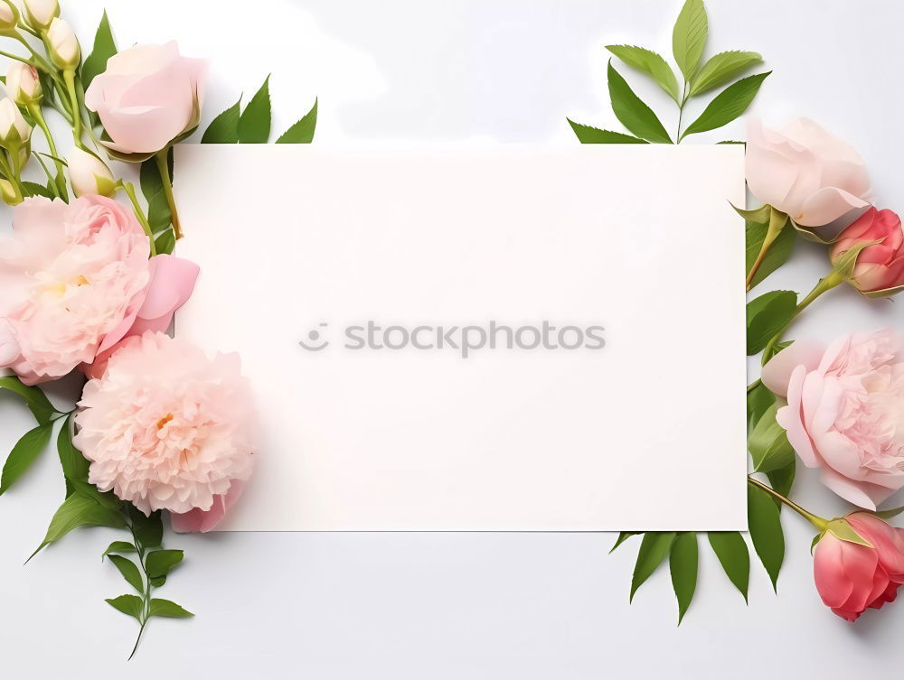Similar – Image, Stock Photo Beautiful flowers with envelope and pencil
