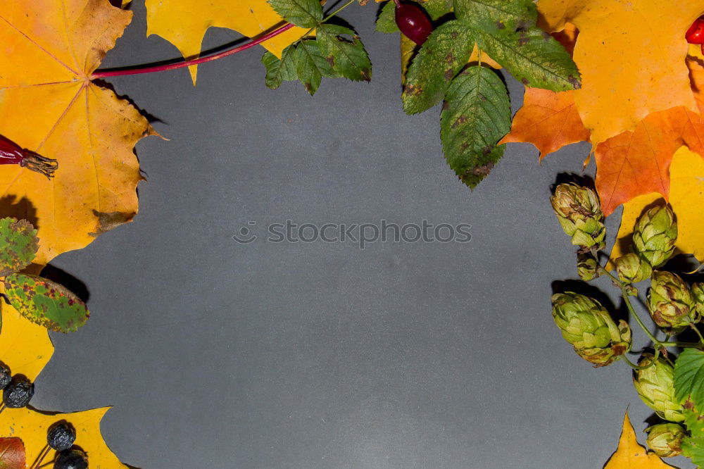 Similar – Image, Stock Photo An Autumn Day in Germany