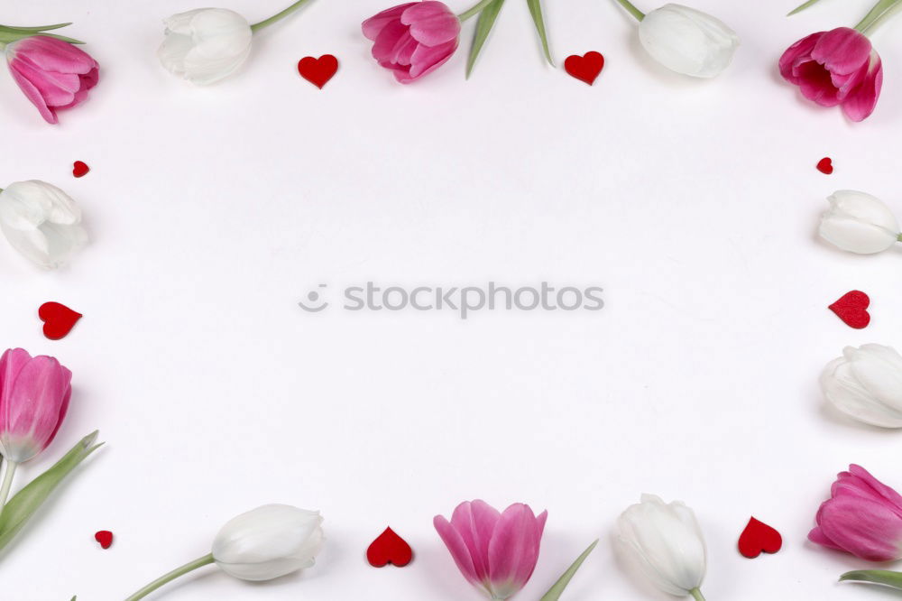 Similar – Image, Stock Photo blooming buds of pink roses