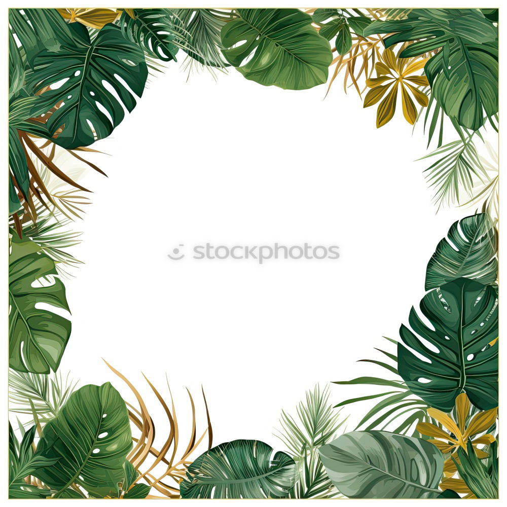 Similar – Image, Stock Photo Frames of tropical plants and fern leaves