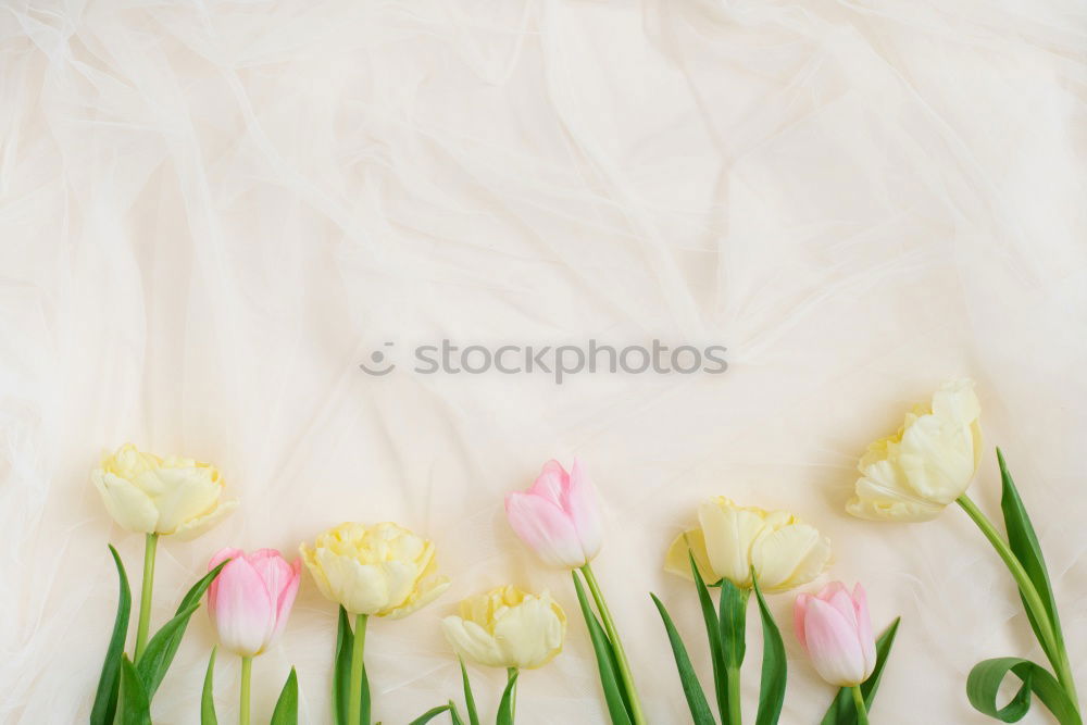 Similar – Easter background in pastel colours.