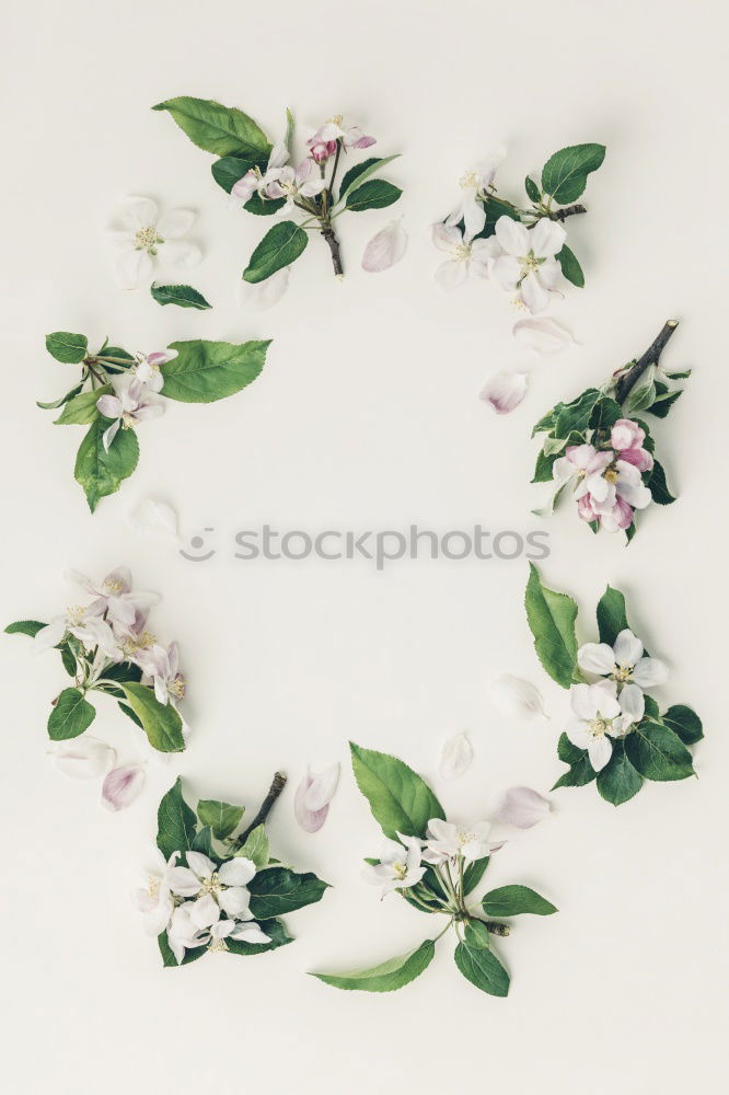 Similar – Image, Stock Photo spring wreath Nature