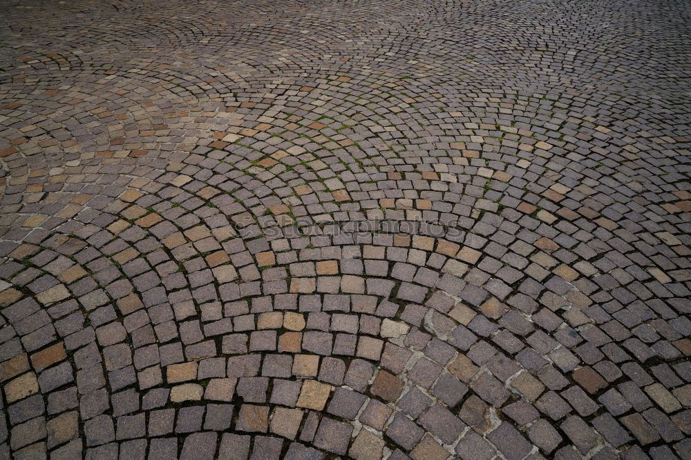 Similar – cobblestones Cobblestones