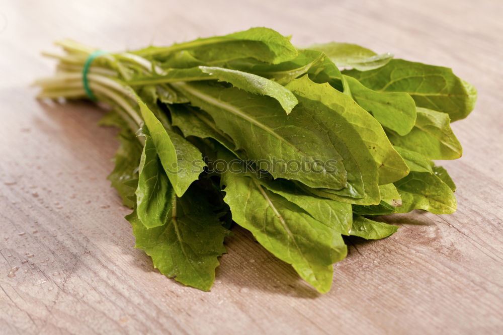 Similar – bunch of green sorrel