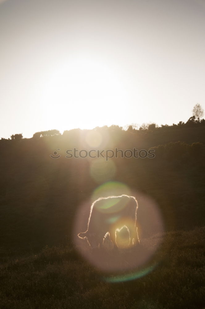 Similar – Image, Stock Photo Monumento JK, Brasília