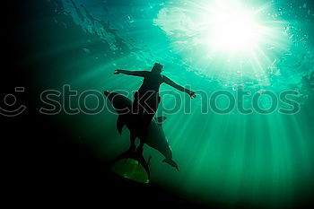 Similar – Young woman doing free-diving in the clear water of the Mediterranean Sea