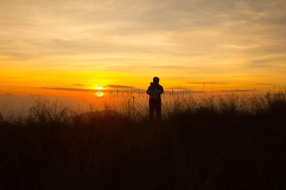 Similar – Image, Stock Photo sunset walk Sunset Yellow