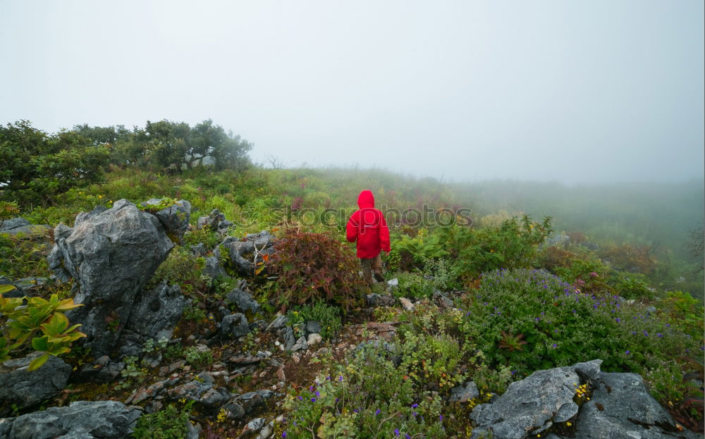 Similar – Young woman below the Braunschweiger hut | E5