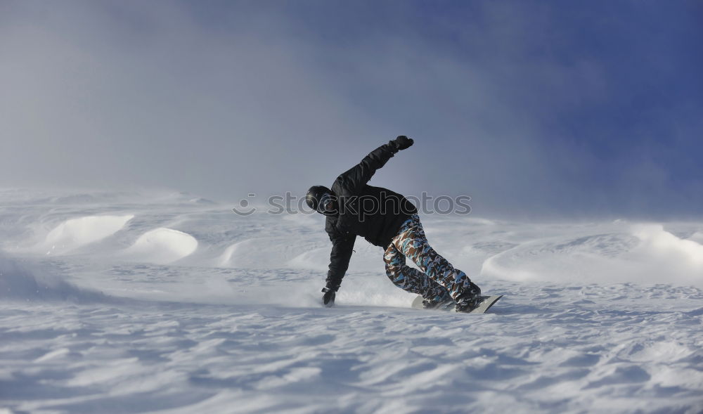 Similar – Schneewolf Hund Winter