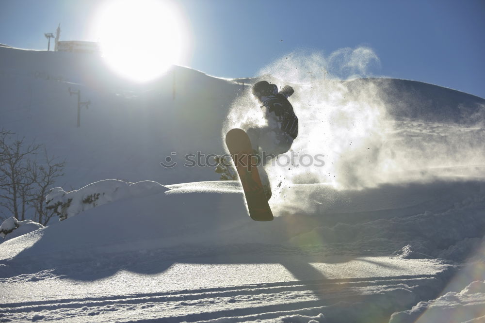 Similar – Schneewolf Hund Winter