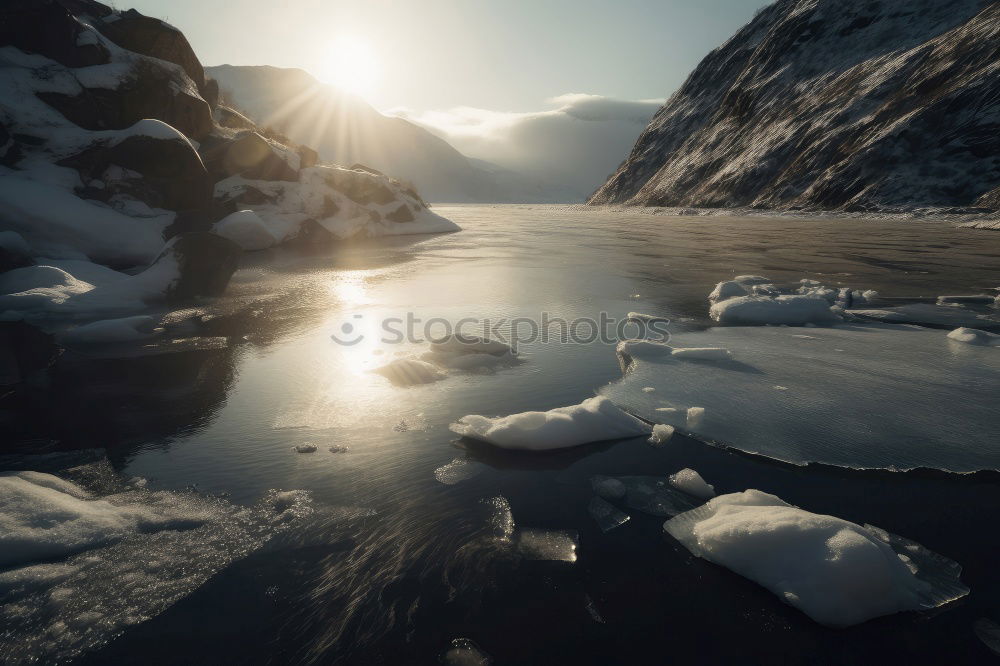 Similar – Glacier Bay Beautiful Life