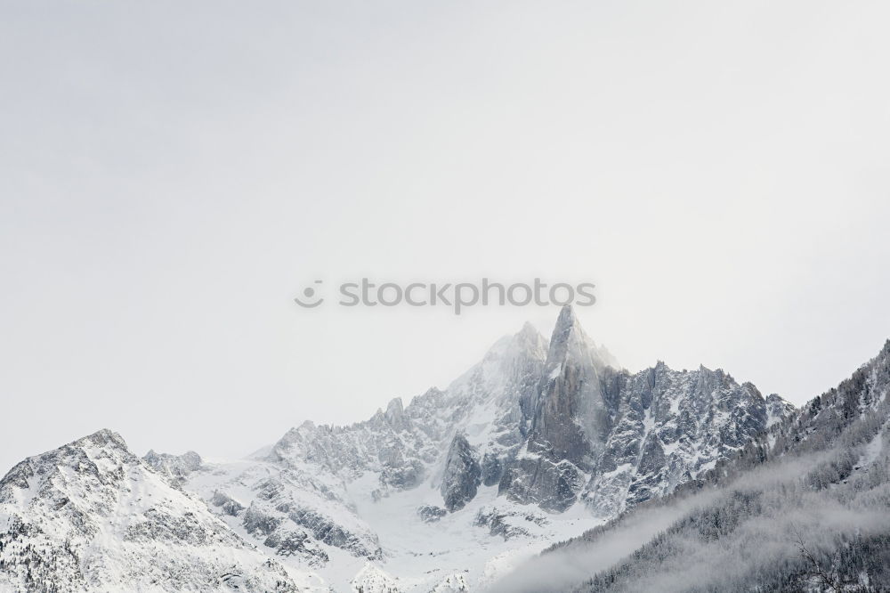 glacier garden Environment