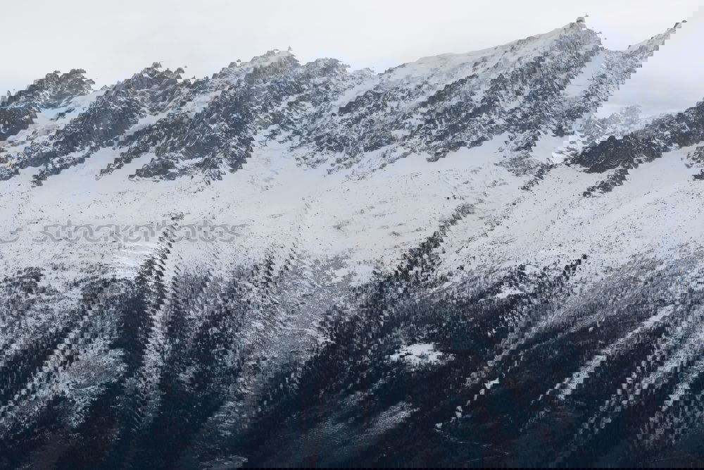 Similar – Foto Bild Frühlingszebra Berghang