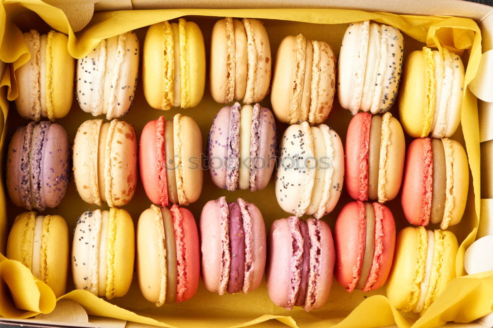 Similar – Multicolored macarons in a paper box