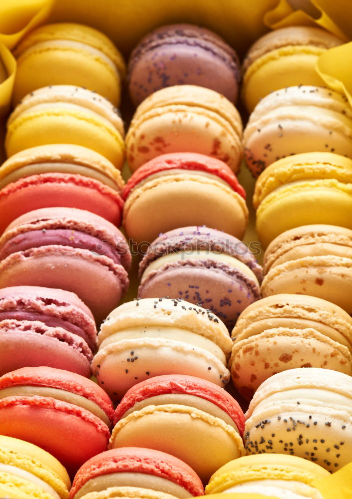 Similar – Multicolored macarons in a paper box