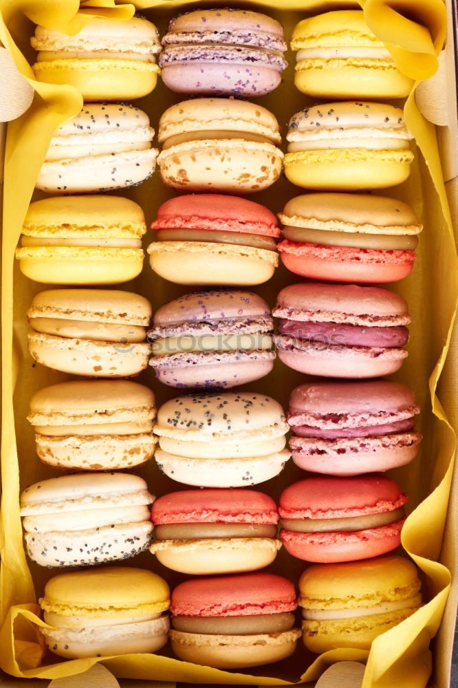 Multicolored macarons in a paper box