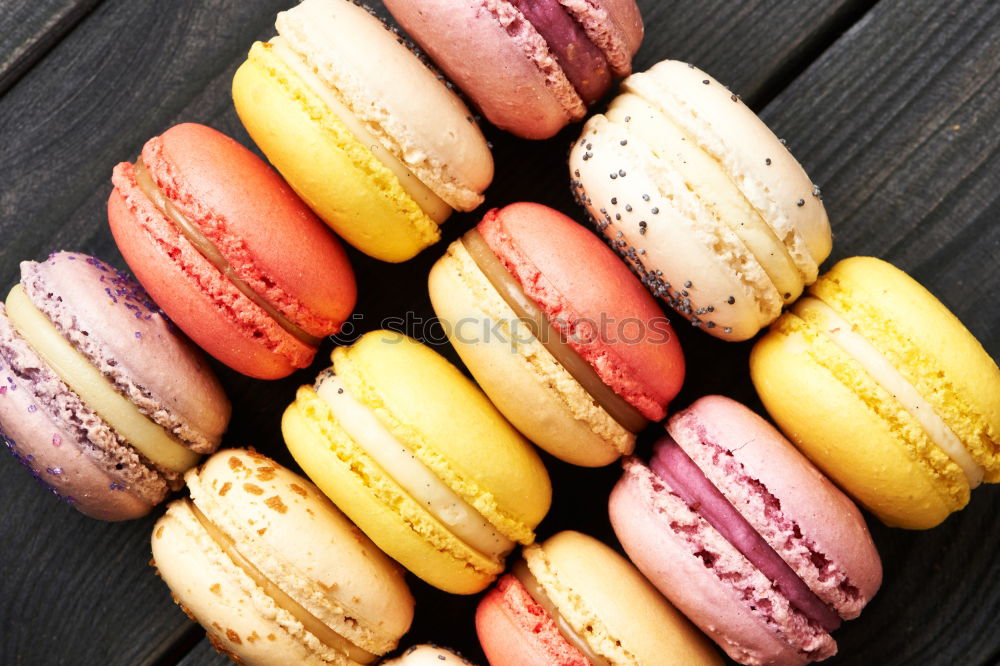 Similar – Multicolored biscuits macarons