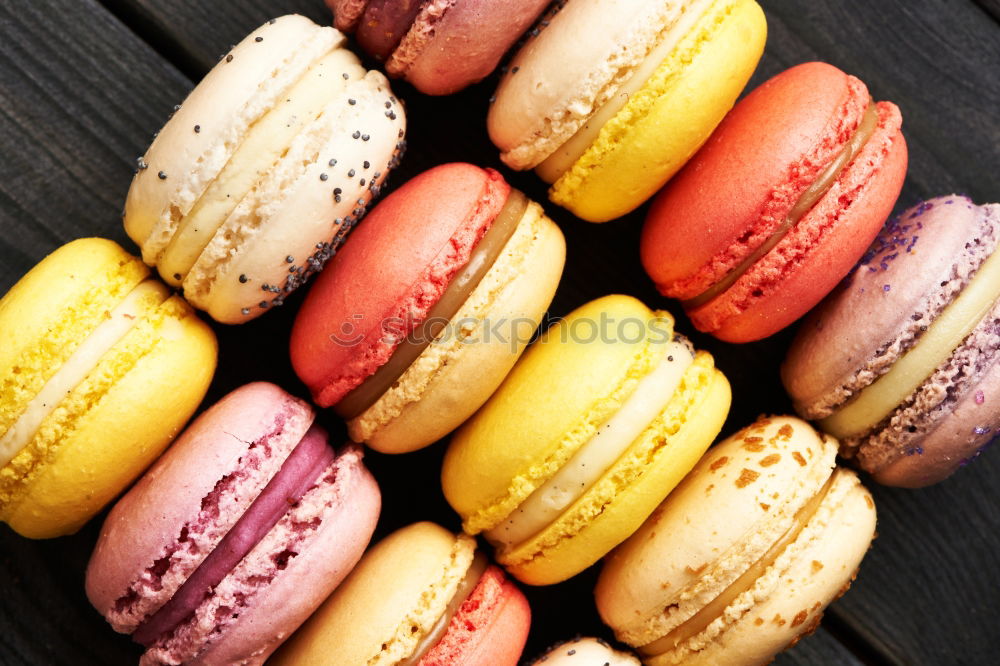 Similar – Multicolored biscuits macarons