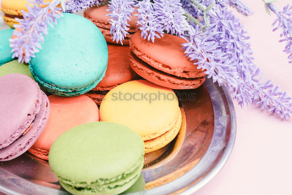 Similar – Multi-colored pastries macarons