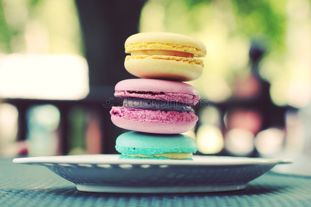 Similar – Image, Stock Photo multicolored macaroons