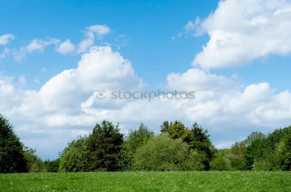 Similar – Image, Stock Photo hidden house (haunted)