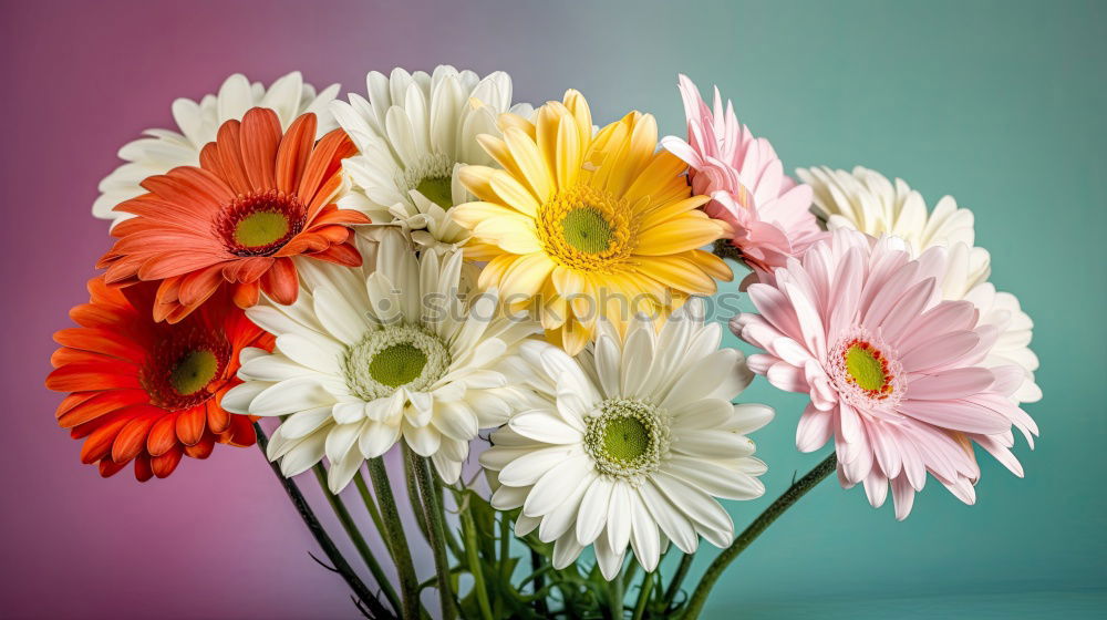 Similar – Image, Stock Photo Flower heart on wood Happy