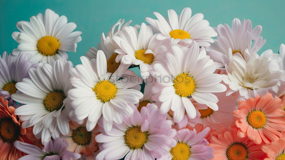 flower floating in water