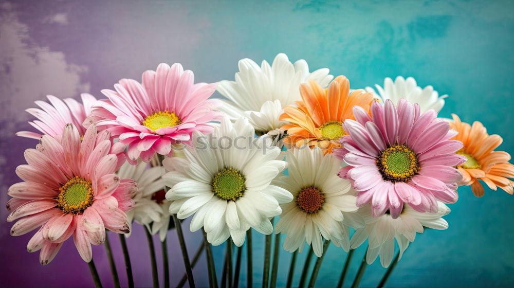 Similar – Image, Stock Photo Flower heart on wood Happy