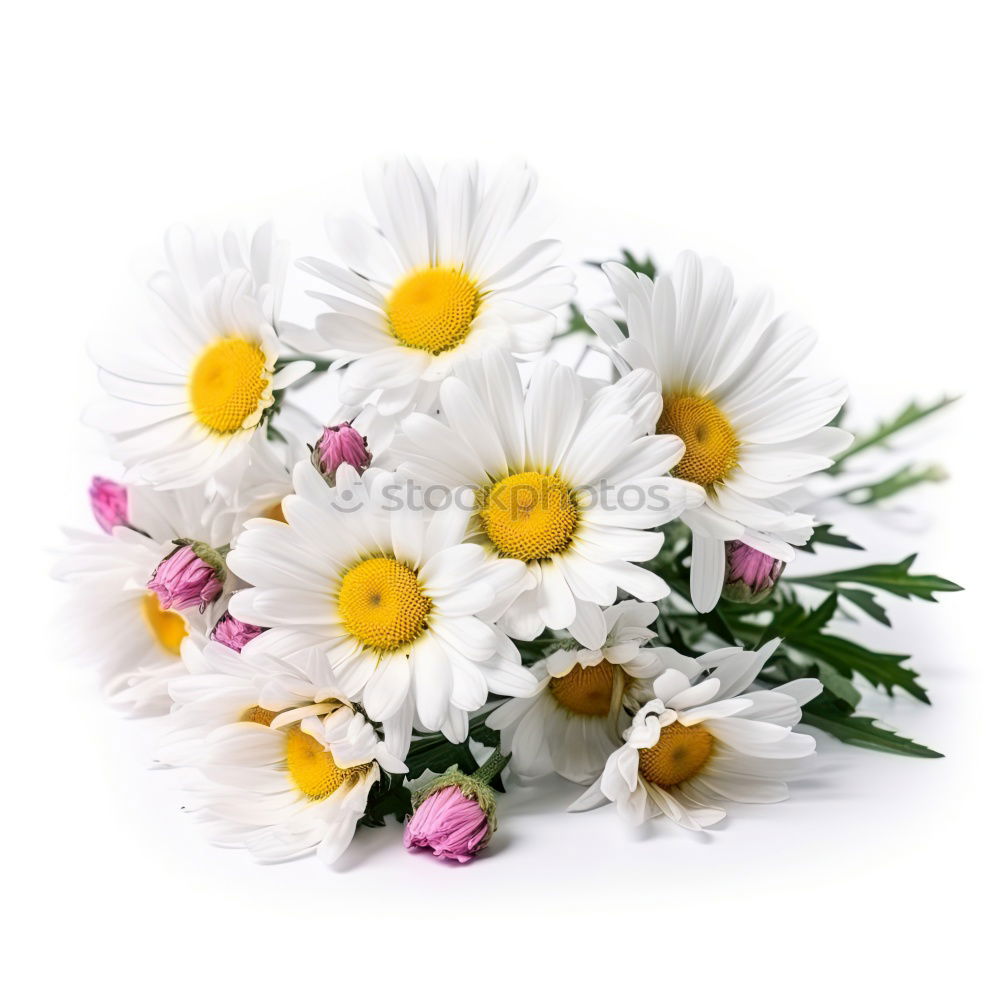 Similar – Image, Stock Photo little flowers Decoration