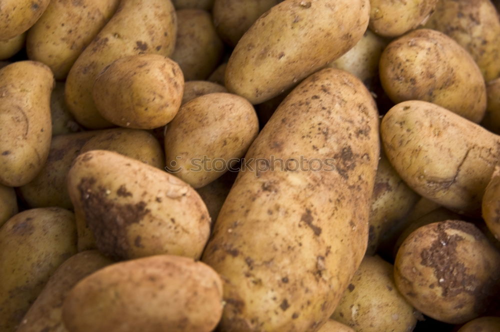 Similar – Potatoes with dirt