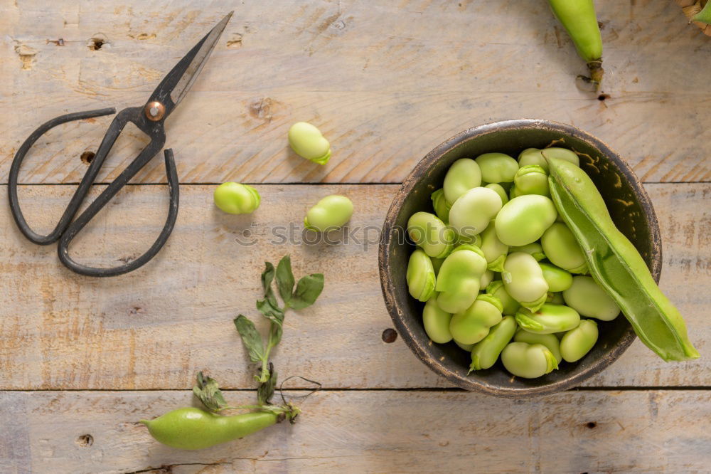 Similar – Image, Stock Photo Preparing ingredients for pickling cucumbers