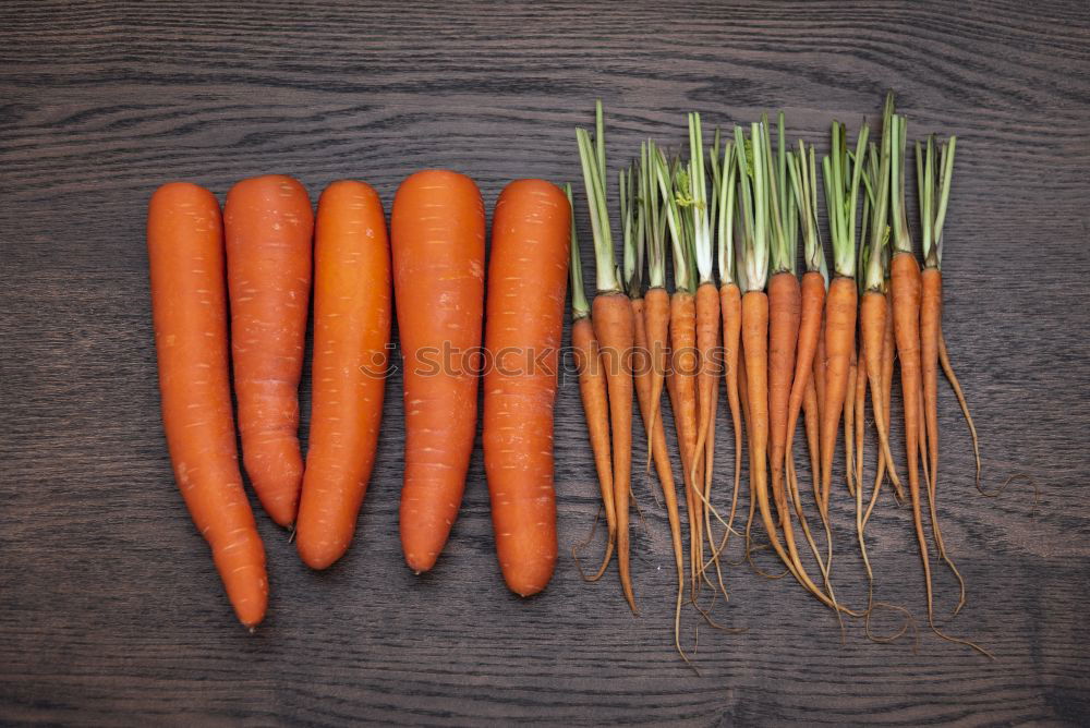 Similar – Fresh carrots tied with a rope