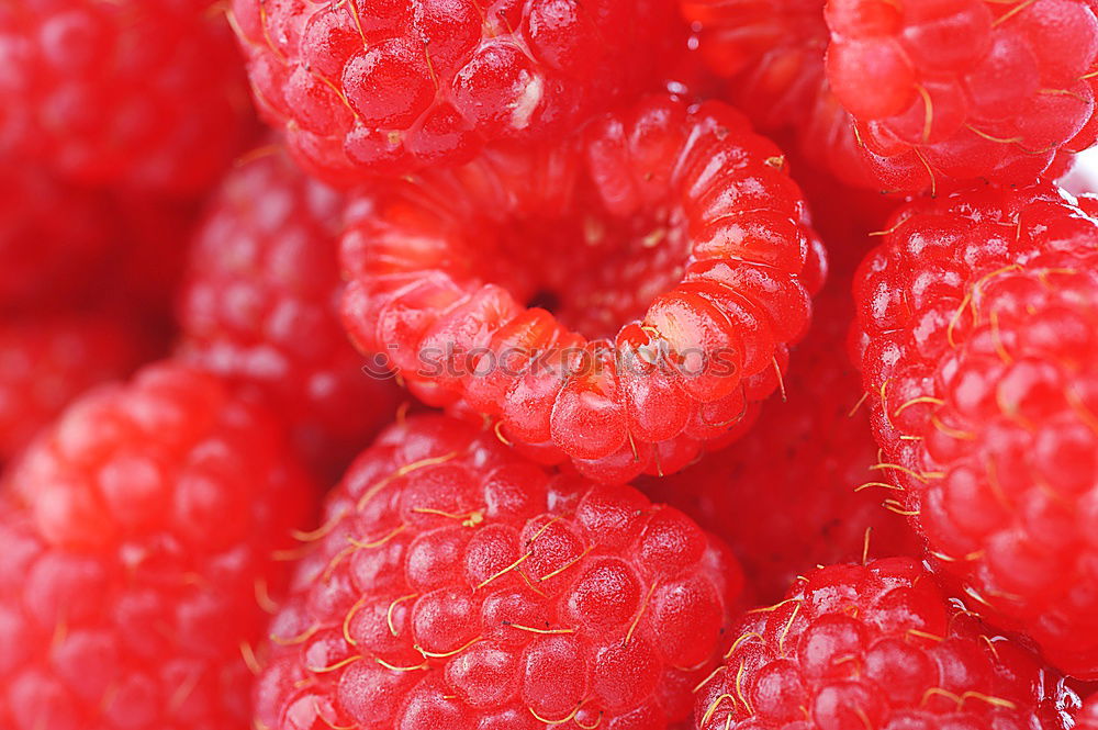 Similar – Image, Stock Photo raspberries Food Fruit