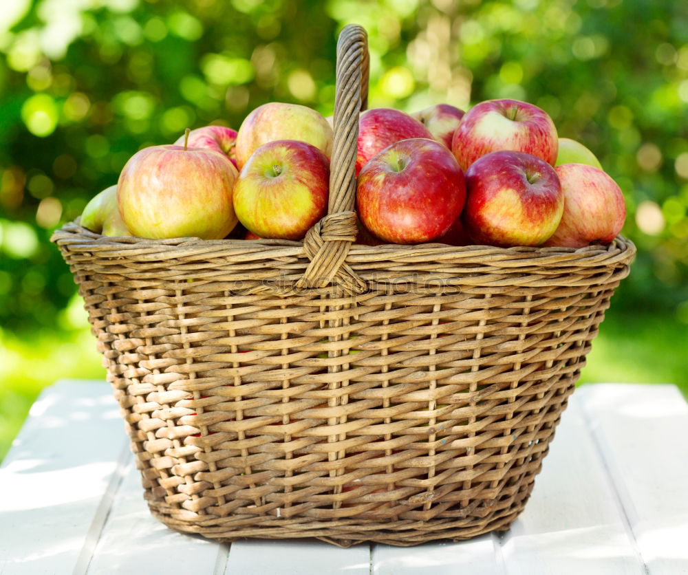 Similar – Image, Stock Photo apple harvest Fruit Apple