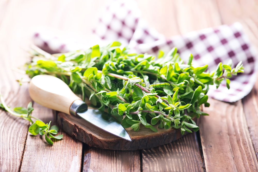 Similar – Image, Stock Photo thyme Thyme Bundle Bound