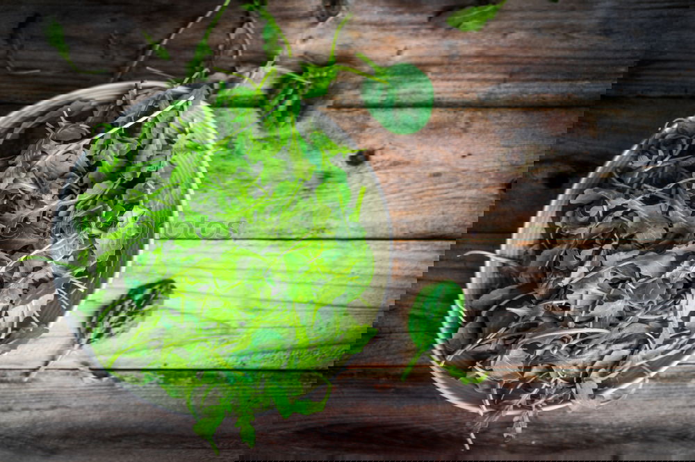 Similar – Image, Stock Photo Fresh lettuce on a rustic kitchen table