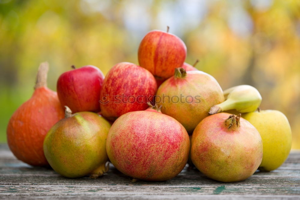 Similar – a winter supply of apples