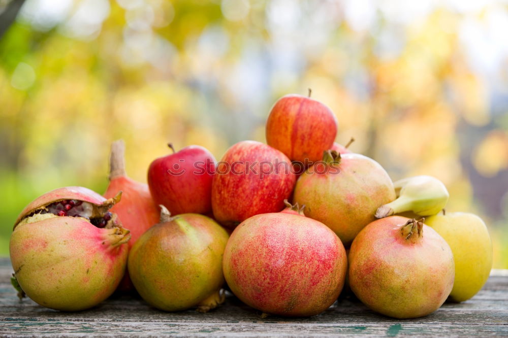 Similar – Image, Stock Photo in the box Food Fruit