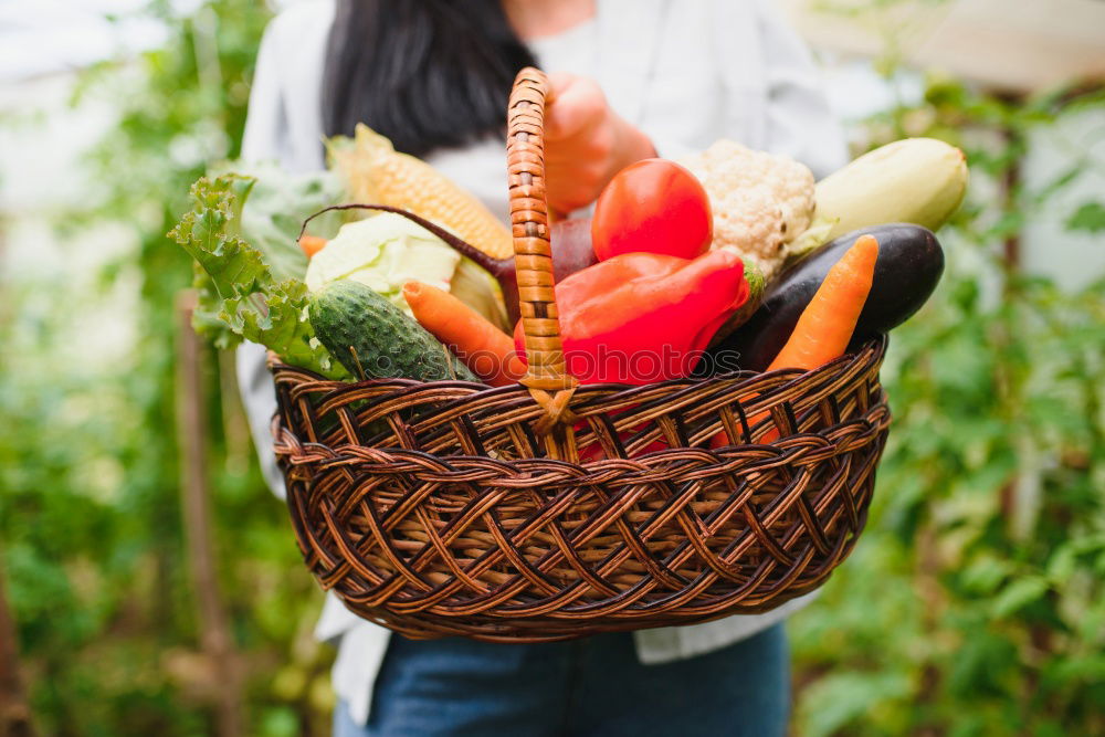 Similar – Image, Stock Photo harvest-fresh vegetables